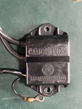 Cargar imagen en el visor de la galería, DT 8 HP Suzuki 32900-98110 CDI UNIT & IGNITION COIL electrical Two Stroke OEM NLA also 6 hp