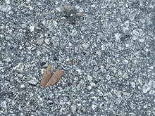 Lade das Bild in den Galerie-Viewer, DF 140 115 100 90 hp Suzuki 61810-90J01-0EP SIDE COVER STBD PORT 61820-90J01-0EP four stroke 2001-2010