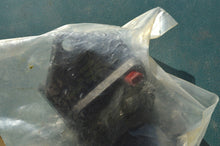 Load image into Gallery viewer, oem 35amp Circuit Breaker Lewmar#68000604 and bezel mount