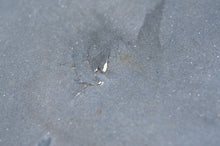 Load image into Gallery viewer, 50 HP Yamaha 50Pro cowling 6h41-42611-10 engine cover Two Stroke