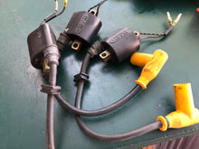 Cargar imagen en el visor de la galería, DT Suzuki ignition coil f6t534 two stroke