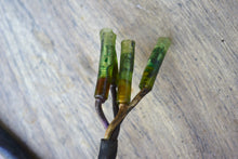 Lade das Bild in den Galerie-Viewer, 60 55 50 45 40 hp Mercury trigger 99021A16 timing base, 196632  Spark Advance LEVER & link 42918 ROD 3 cyl Two Stroke