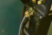 Lade das Bild in den Galerie-Viewer, 7.5 9.8 HP Mercury housing assembly trigger 7283a2, two stroke timer base - PARTS NOT WORKING