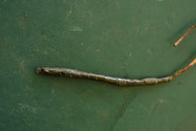 Lade das Bild in den Galerie-Viewer, 7.5 9.8 HP Mercury housing assembly trigger 7283a2, two stroke timer base - PARTS NOT WORKING