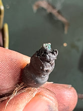 Lade das Bild in den Galerie-Viewer, needs connector repair - DT 150 200 225 HP Suzuki 32101-92E10 Stator Two Stroke Magneto SUPER SIX efi some compatibility 1987-2000
