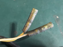 Load image into Gallery viewer, 40 35 25 hp Tohatsu Nissan ALTERNATOR COIL 3A0060230 two stroke 40c OEM
