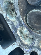 Cargar imagen en el visor de la galería, PARTS BF 40 35 hp Honda CYLINDER HEAD ASSY 12010-ZV5-010ZA four stroke pre-1997-2003 FUEL PUMP 16700-ZW1-004 OIL PUMP 15100-ZV5-000
