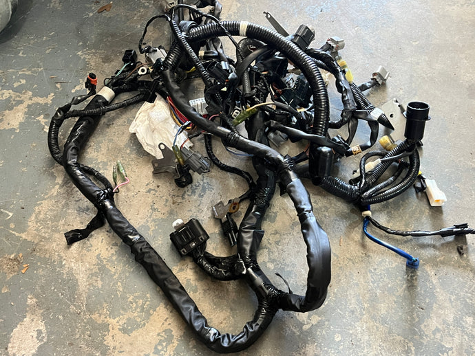 f 250 hp Yamaha engine WIRE HARNESS ASSY 6P2-82590-02-00 6P2-01 6P2-00 four stroke 2005