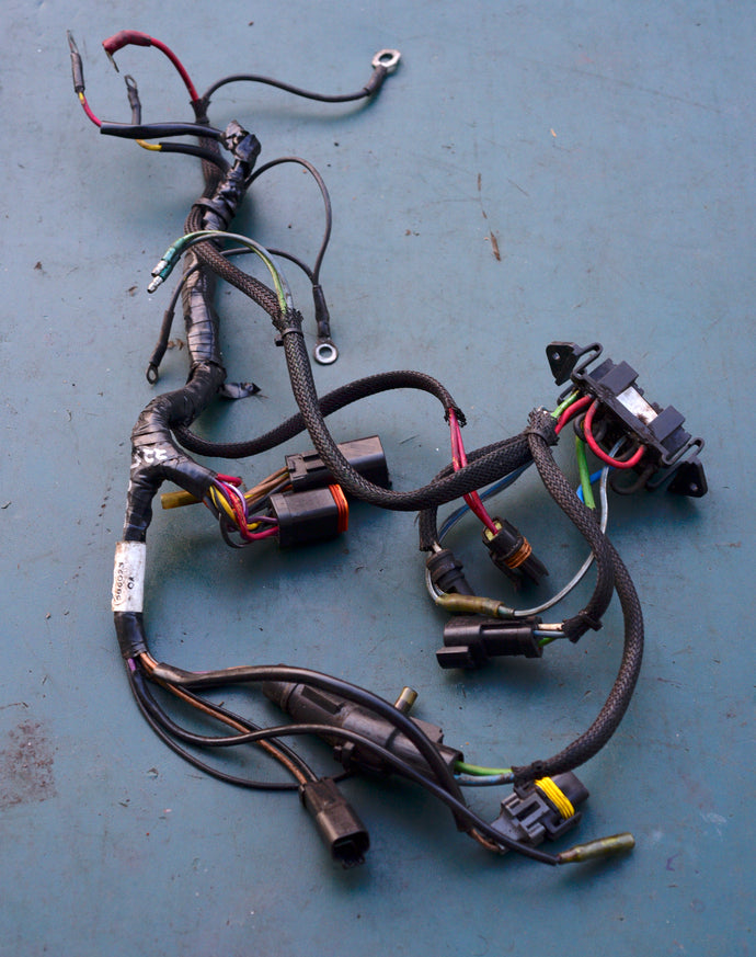 200 225 hp Evinrude E-tec 0586023 586023 electrical engine harness two stroke