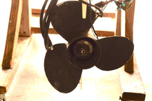 Cargar imagen en el visor de la galería, Super clean 40 hp Evinrude E-tec  20&quot; shaft, with video of operational motor
