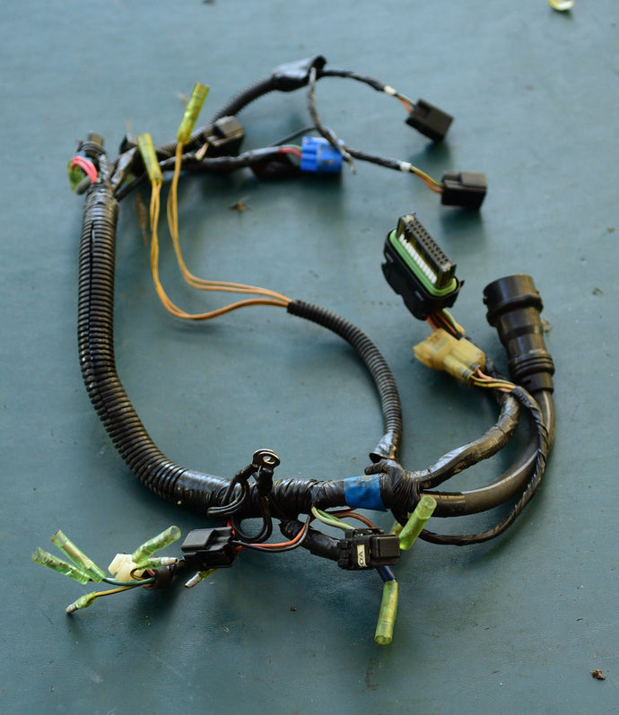 F 40 HP Yamaha Mercury Wire Harness Assy 67C-82590-00-00 - 2003 YamaMerc Four Stroke 3 Cylinder Outboard